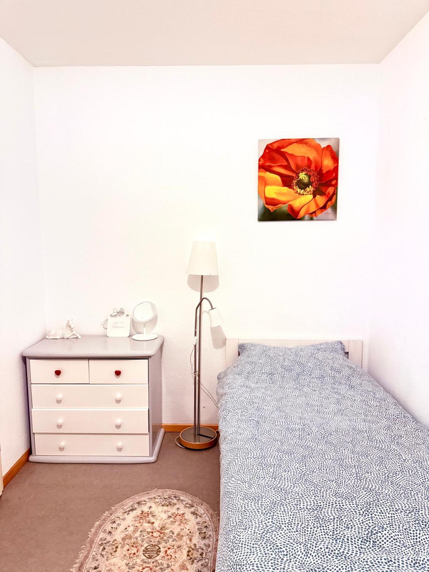 #welcometomesselaatzen#twobedroomapartment&balcony Apartment